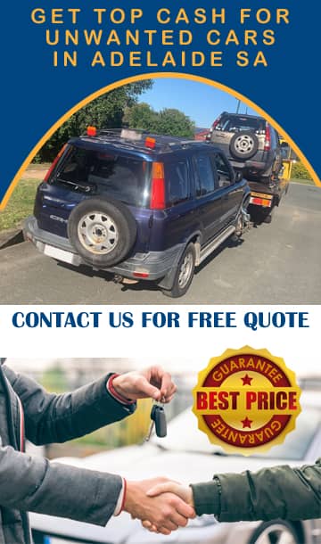 Home 23 Why Choose Us